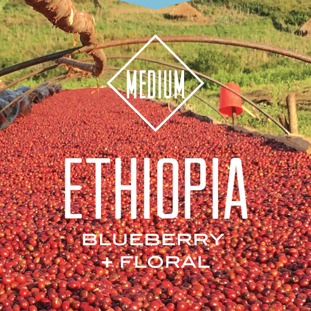 Decaf Organic Ethiopia Natural Sidamo